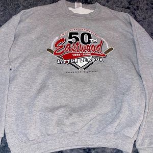 Size large comfy grey hoodie